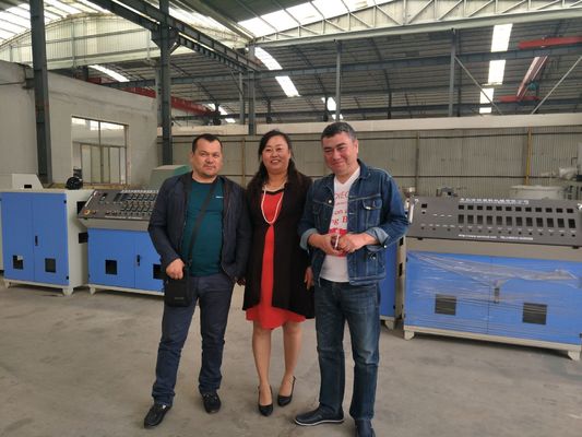 Un bon prix. Le double mur de PE a ridé la chaîne de production de tuyau/tuyau faisant la machine en ligne